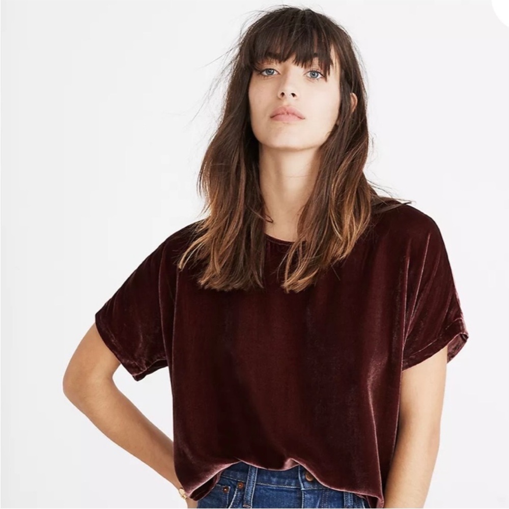 Madewell Cabernet Burgundy Velvet Short-Sleeve Top